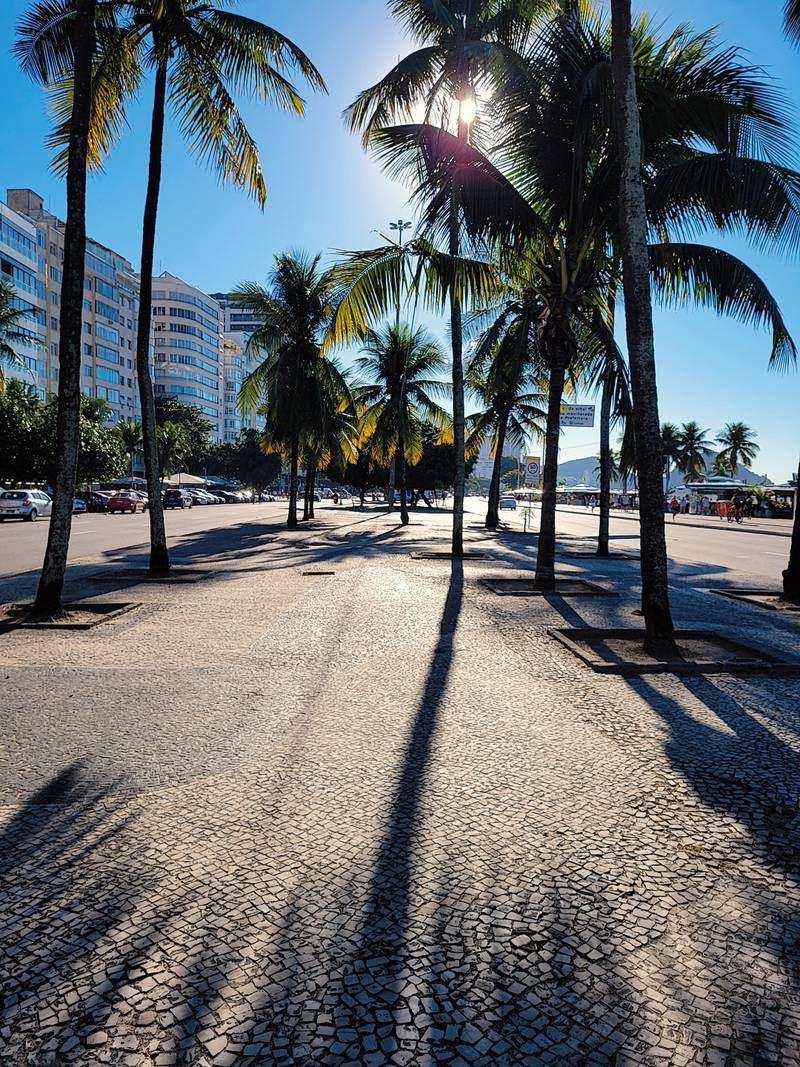 Vereda con palmeras y piso de mosaico a contraluz, en Rio de Janeiro